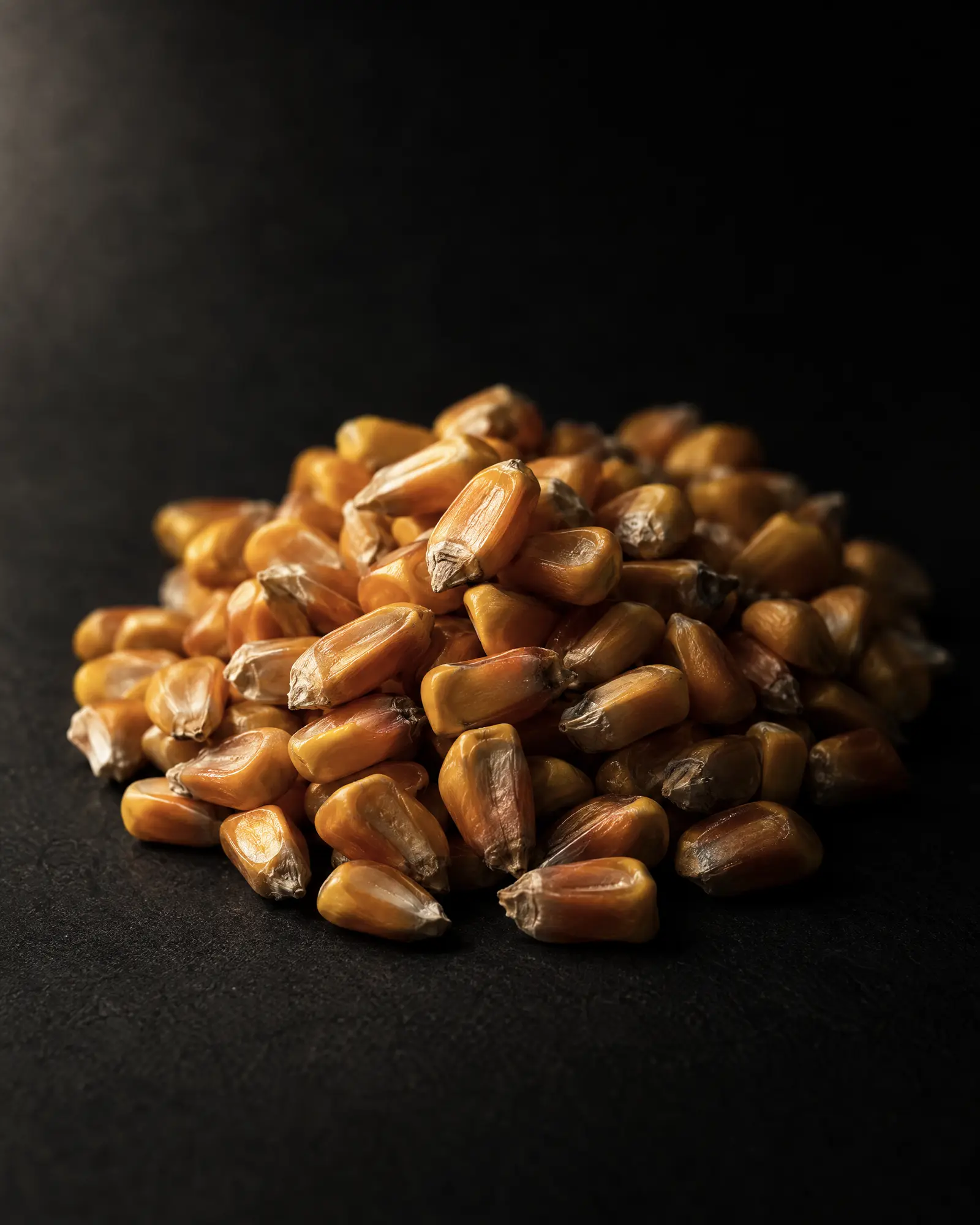 Yellow dent corn kernels on a dark surface